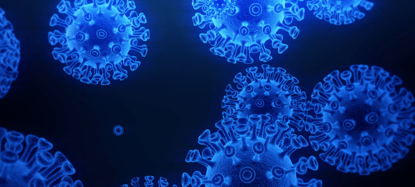 NEWS – World Methodist Council President’s Statement on Covid Crisis in&nbsp;DPRK