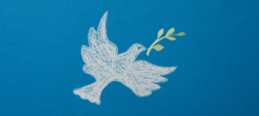 World Methodist Council Young Adult Pilgrimage of Peace 2025 in&nbsp;Korea