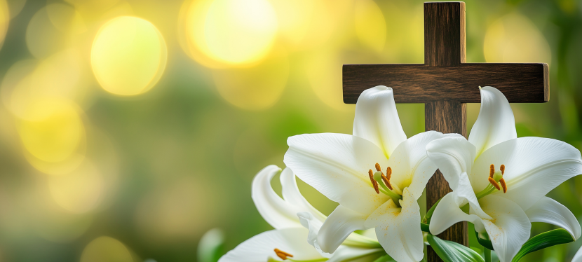 Christ is risen! Happy Easter from the Methodist Ecumenical Office – April&nbsp;2026